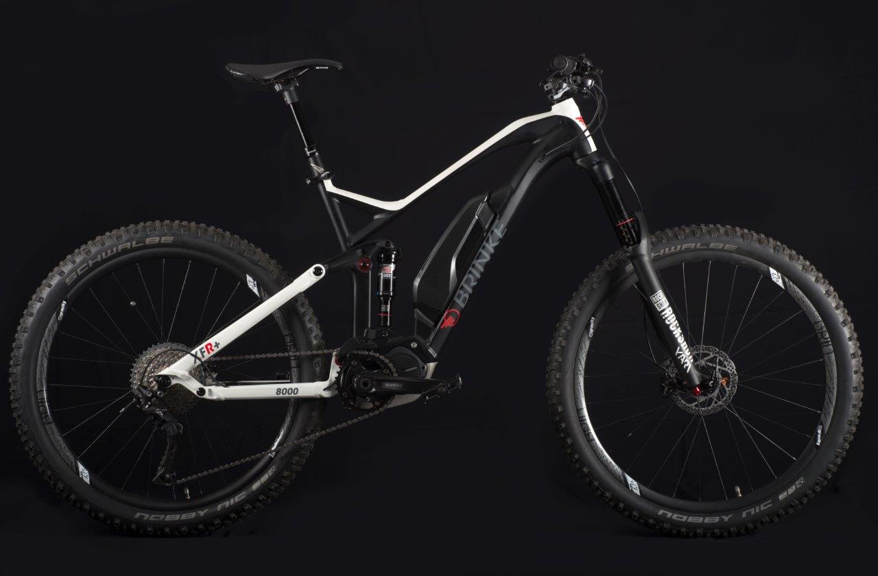 Bici elettrica